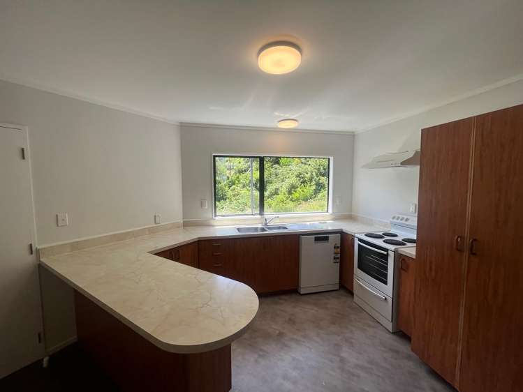 48 Norway Street Aro Valley_13