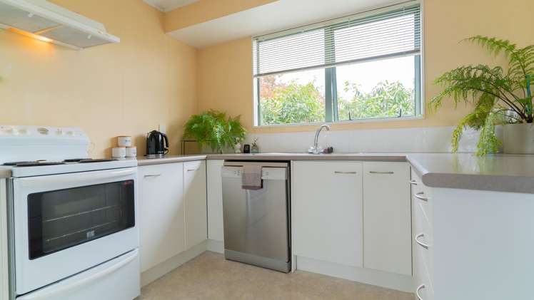 810a Park Road South Akina_3