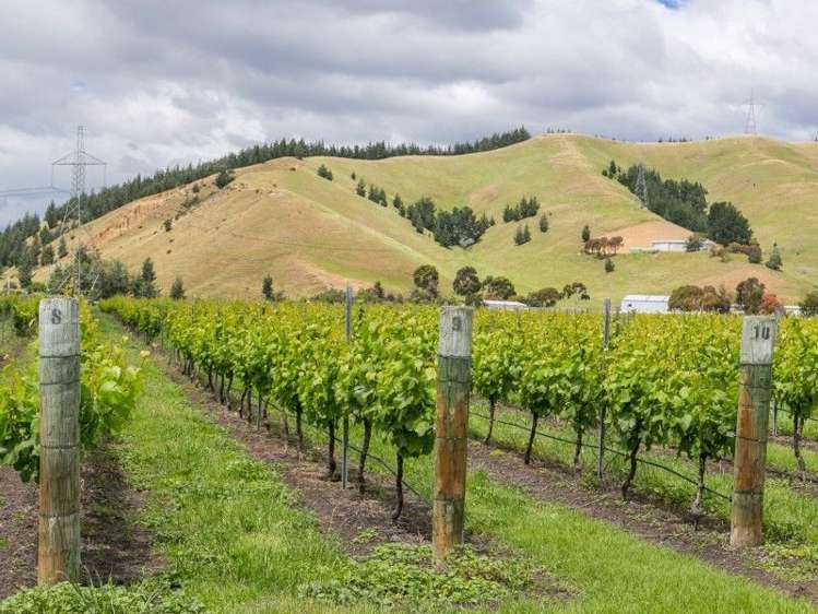 3516 State Highway 1 Riverlands_9