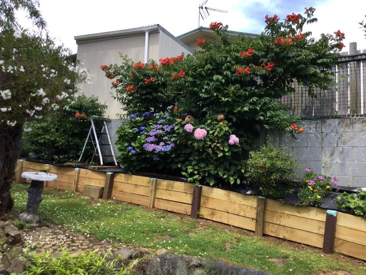 104 Hays Place Thames_24