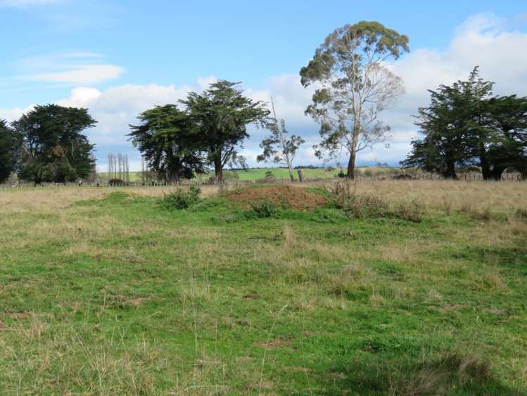 51 Lyall Street Tikokino_3