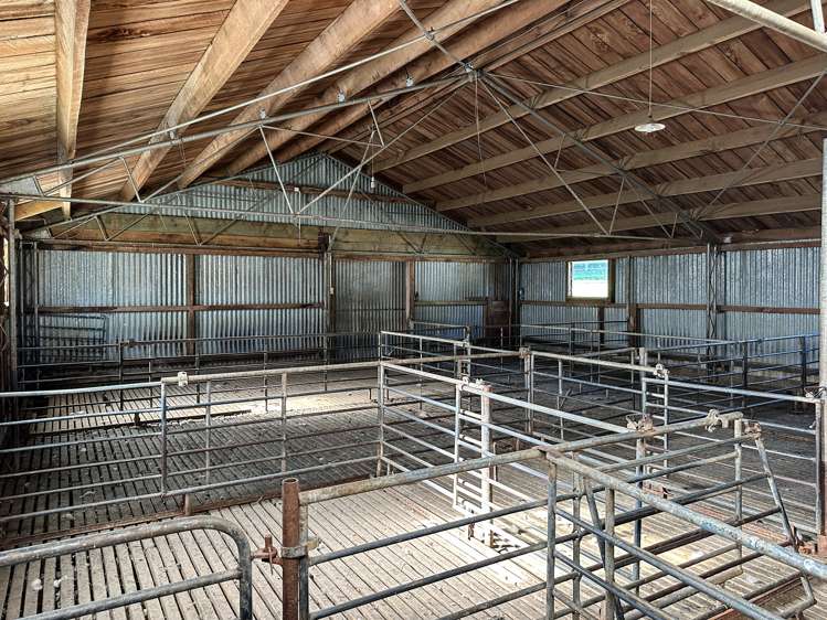 30 Frazer Road Gore Surrounds_10