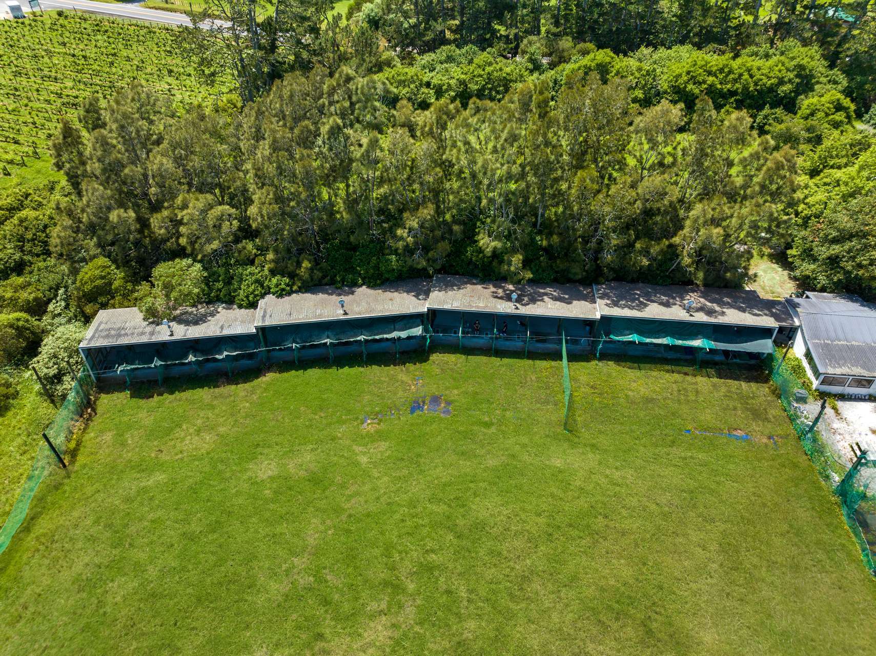 1352 Coatesville Riverhead Highway Kumeu Rodney Houses for Sale