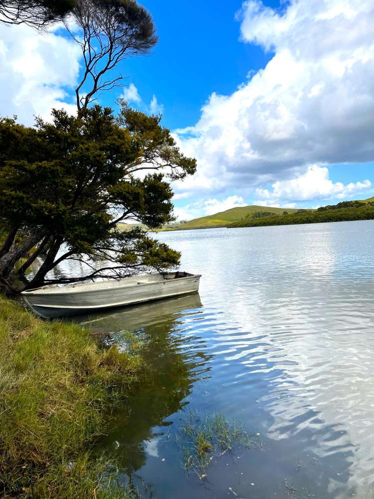 Lot 2 Waimanu Road_4