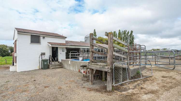 249 Plaskett Road Fernside_11