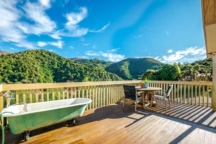 439 Engelbrechts Road Hunter_17