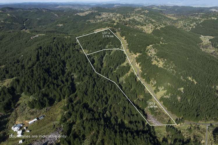 Lot 3 and 4/169 Tunatahi Road Panguru_6