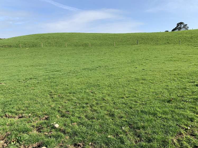 895 Bird Road Stratford_19