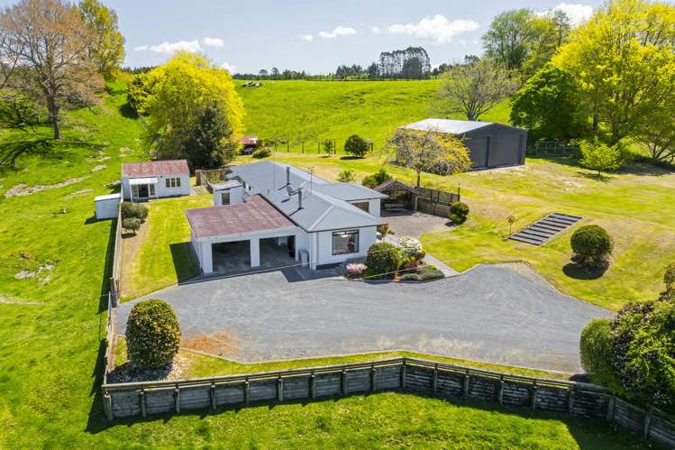 344 Palmer Mill Road Wairakei_14