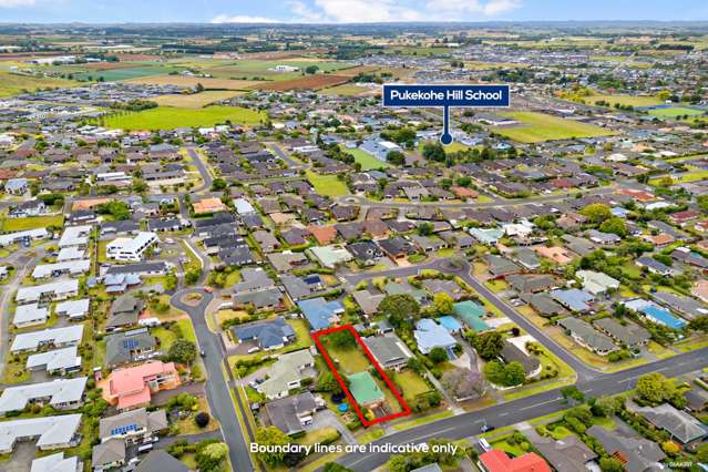 161 Wellington Street Pukekohe_1