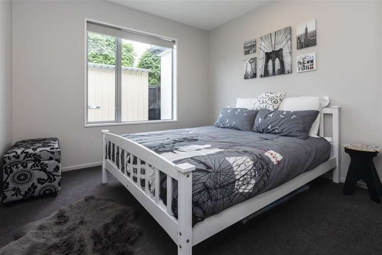 5 Torrey Pines Waimairi Beach_14