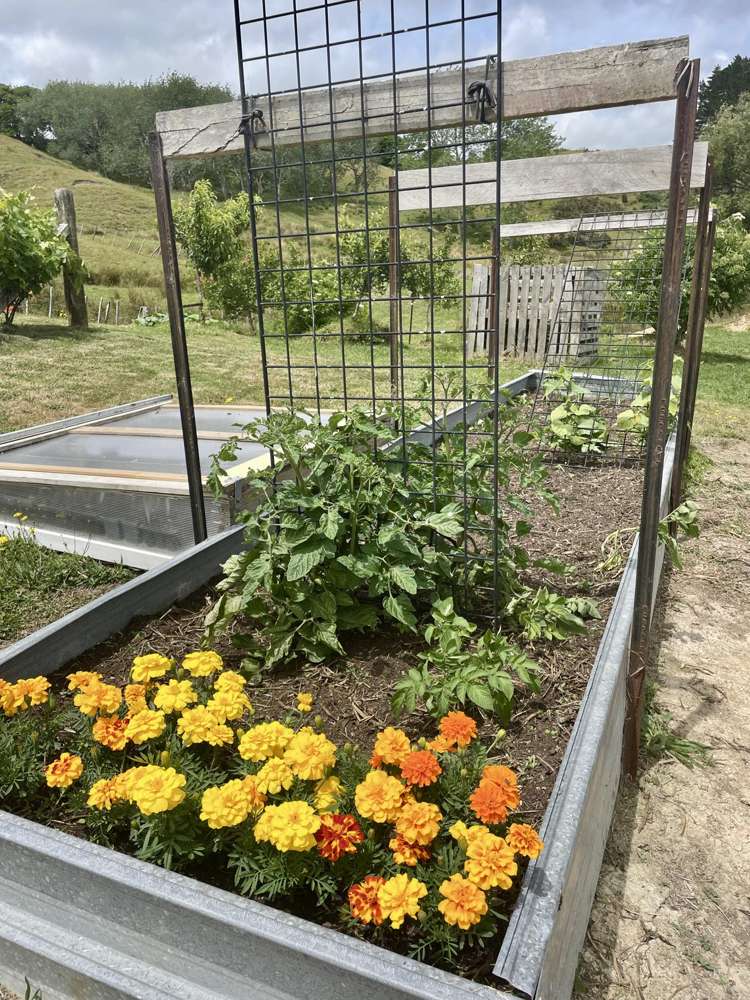 852 Oneriri Road Kaiwaka_21