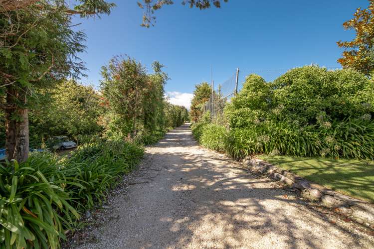 50 Alma Road Westport_31