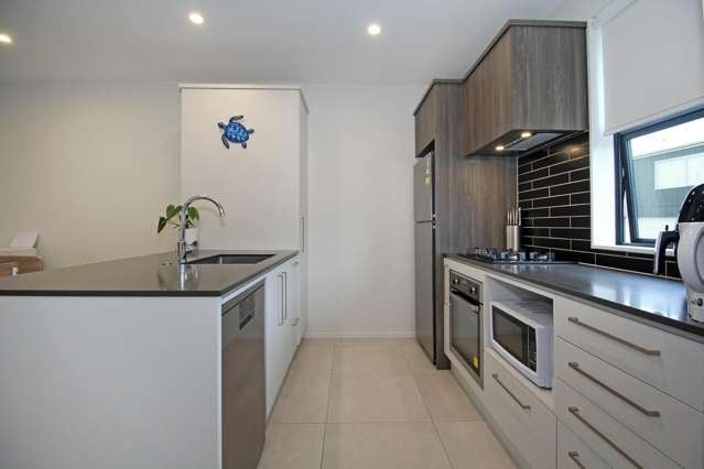 10 Paterae Lane Flat Bush_1