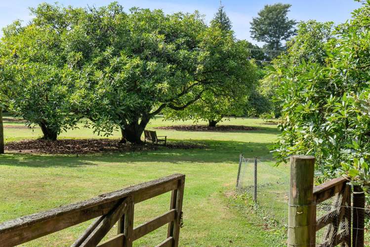 7 Puriri Grange Lane Maunu_6