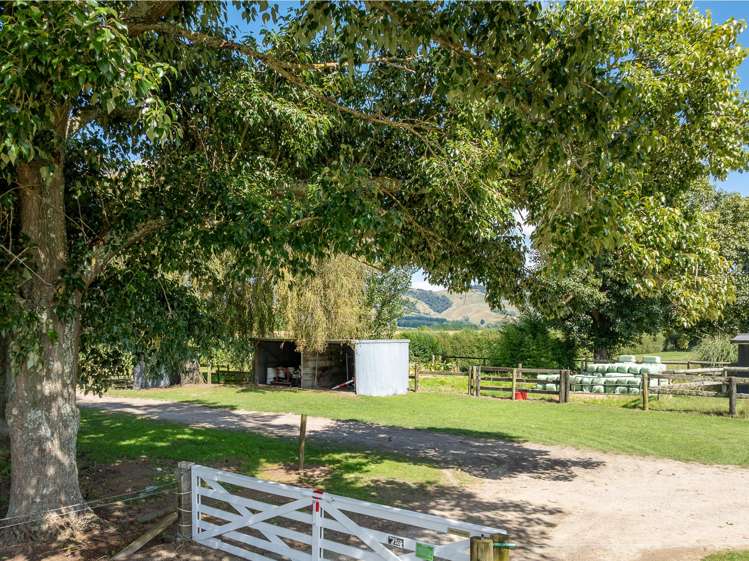 182 Maungatautari Road Cambridge_24