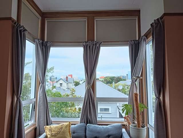 213 Grant Road Thorndon_2