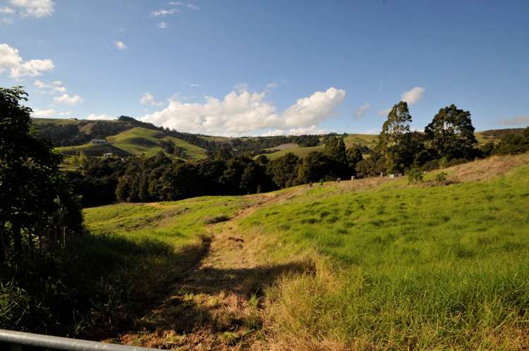 641 Valley Road Kaiwaka_7