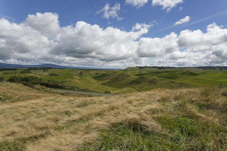 459 Otake Road Marotiri_11