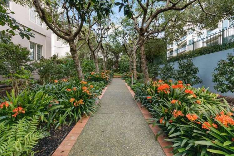 702/8 Middleton Road Remuera_2