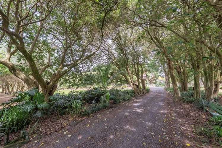 240 South Head Road South Head_32