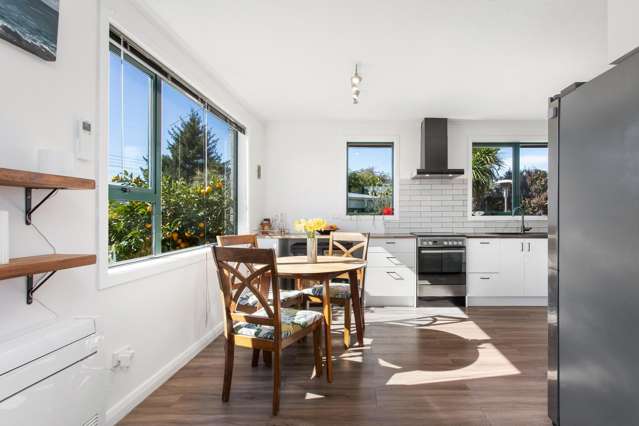 32 O'Briens Road Sockburn_4