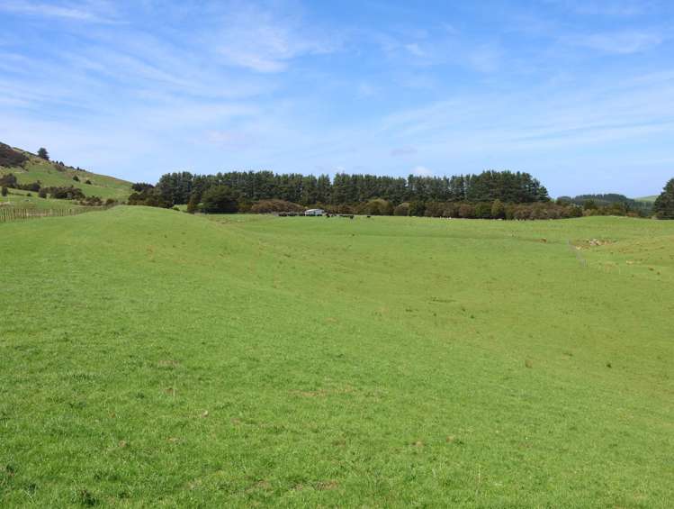 98 Millstream Road Dannevirke_3