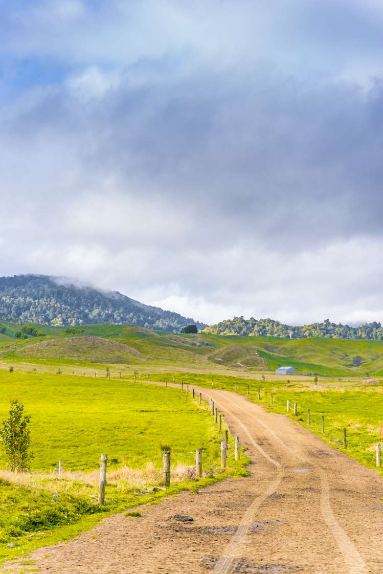 313 Te Wera Road Matawai_17