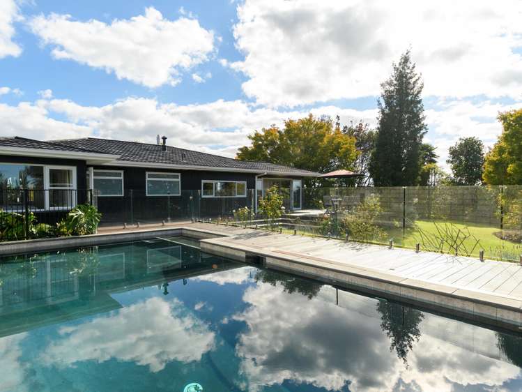 86 Prole Road Omokoroa_2