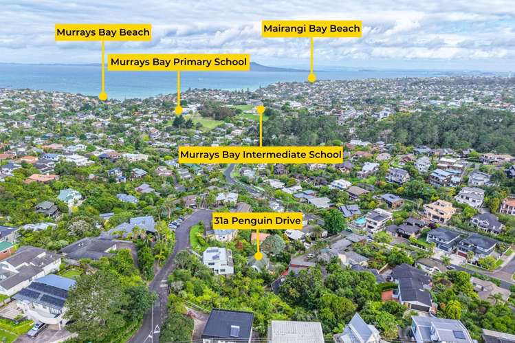 31A Penguin Drive Murrays Bay_26