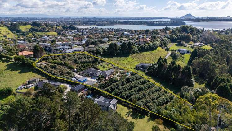 158 WAITAHA ROAD_2
