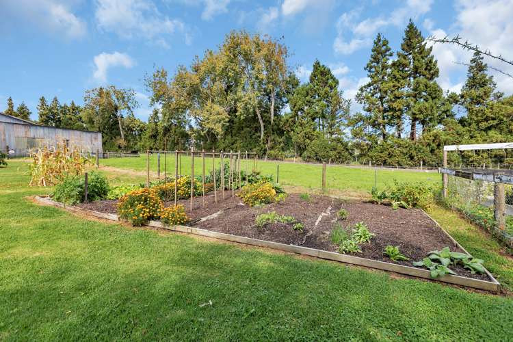 410a Whatitiri Road Poroti_15