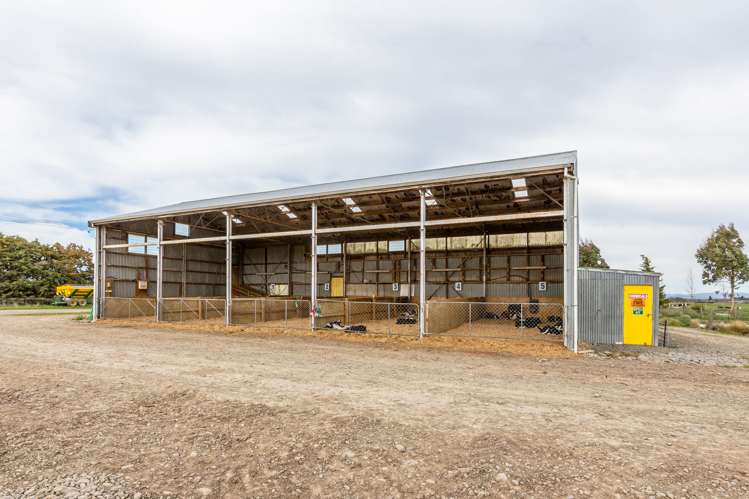 107a-E Mouse Point Road Culverden_19