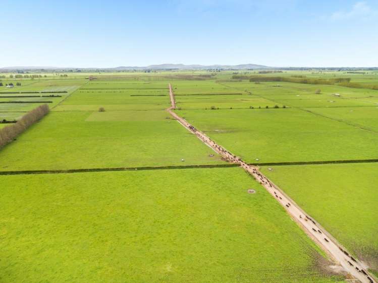 26 Schollum Road Eureka_0