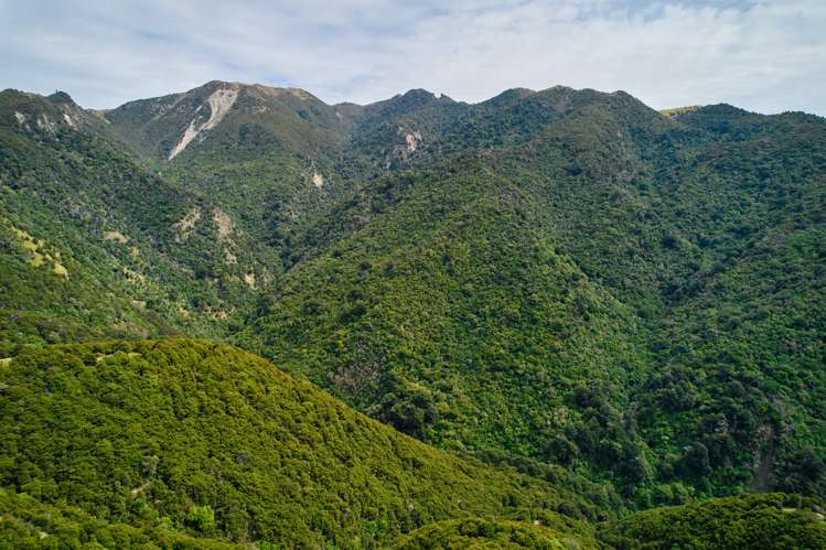 20 Moana Road Kaikoura_22