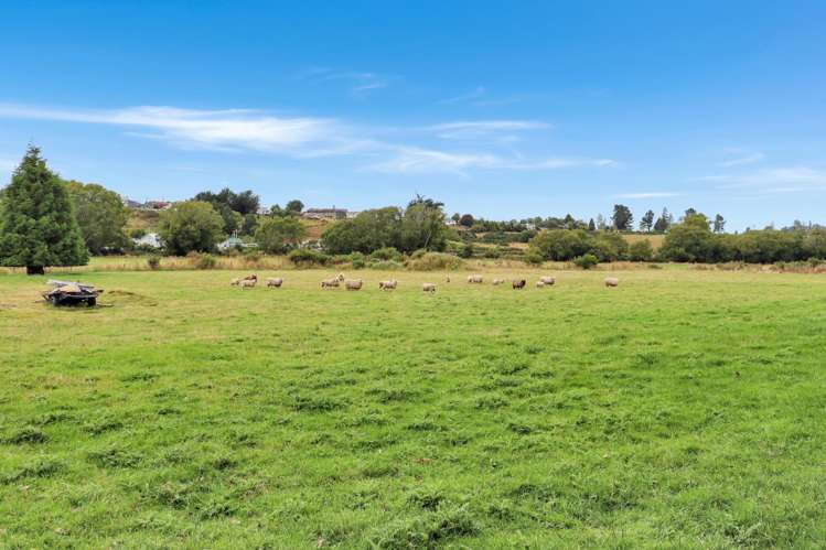 15 Sinclair Avenue Nightcaps_21