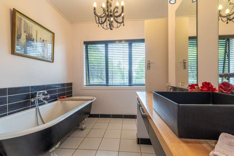 191 Hautapu Road Pukemoremore_9