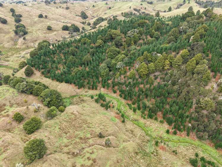 290 Hillcrest Road Waiotira_21