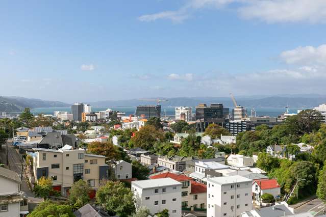 8/24 Patanga Crescent Thorndon_3