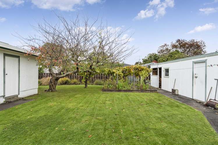 51 East Street Greytown_11