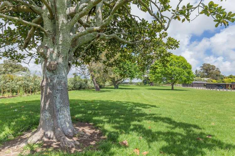 15 Lindsay Road Levin_5