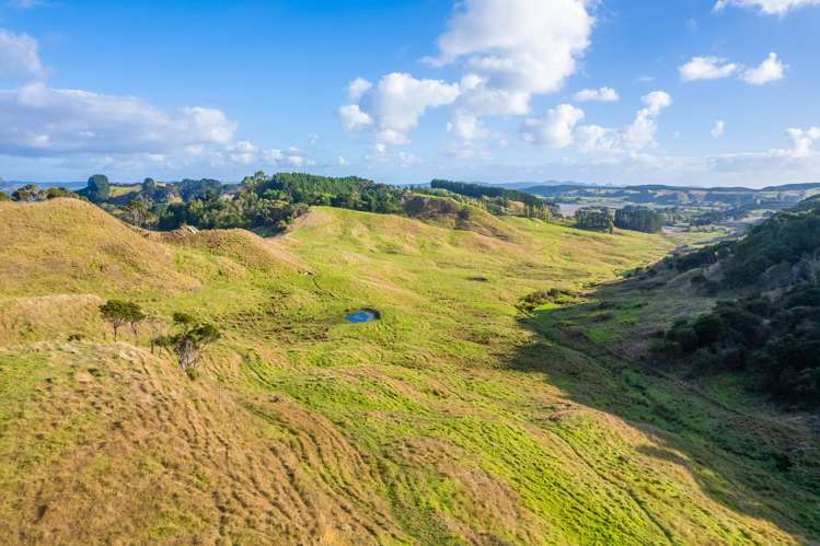 Kawhia Road (SH 31) Kawhia_14