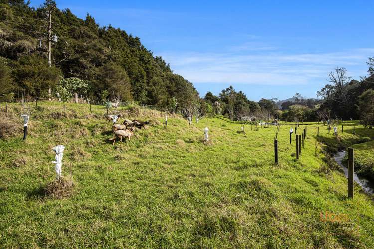 74 Waiparera Road Parua Bay_18