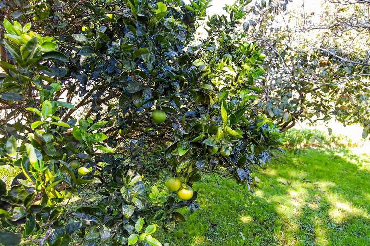 288 Valley Road Kaiwaka_11