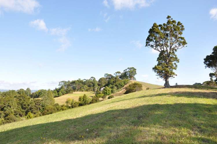 5 Kookaburra Drive Tawharanui Peninsula_9