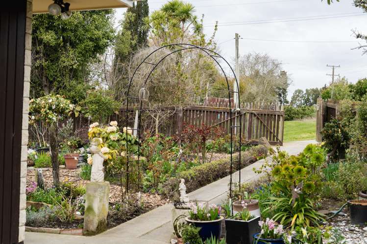 22 Appleby Street Hampden_22