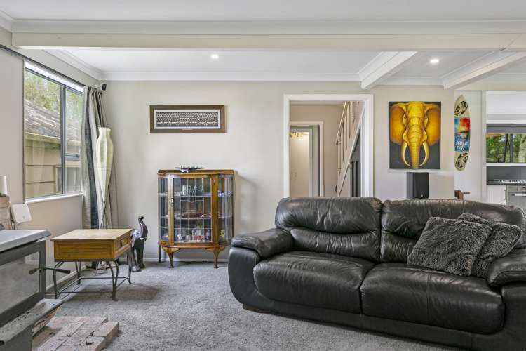 250 Link Road Wairakei and Surrounds_18