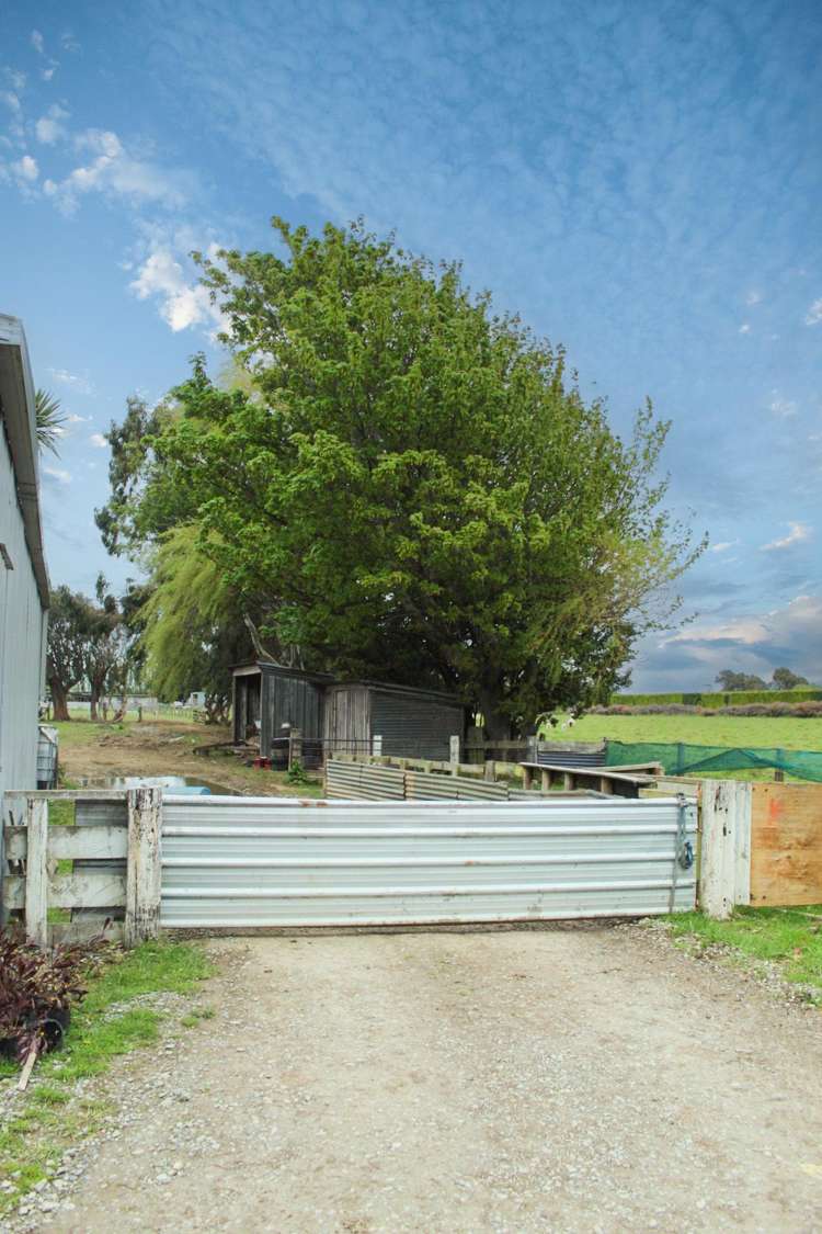 143 Wallacetown Lorneville Highway Lorneville_21