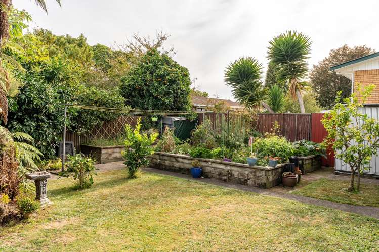 73 Ascot Road Chartwell_17