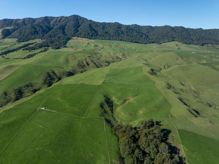 134 Old Te Aroha Road Te Poi_25